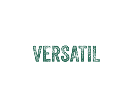 _0004_Spatiu-Versatil